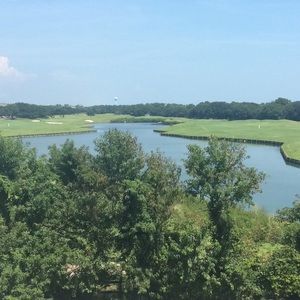 Meet your Posher, Kelli